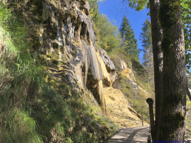 KAC Egg Grossdorf Abendwanderung 2019  2479